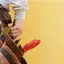 Handyman repair service in Salt Lake City, UT for home fixes and improvements